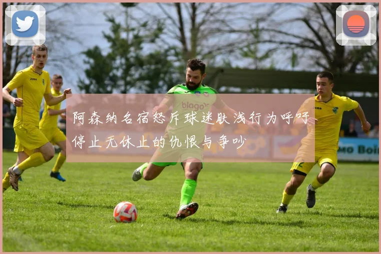 阿森纳名宿怒斥球迷肤浅行为呼吁停止无休止的仇恨与争吵